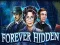 Mchezo Forever Hidden online