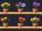 Mchezo Good Flower Master online