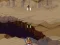 Mchezo Mars Invasion online