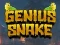 Mchezo Genius Snake online