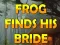 Mchezo Frog Finds His Bride online