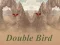 Mchezo Double Bird online