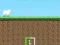 Mchezo Crazy Sheep online