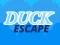 Mchezo Duck Escape online