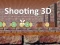 Mchezo Shooting 3D online
