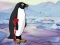 Mchezo Heal the Wounded Penguin online
