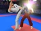 Mchezo Karate Fighter online