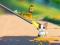 Mchezo Cat Challenge online