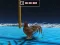 Mchezo Animal Impossible Track Rush online