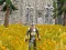 Mchezo Axe Of The Ancients Dwarven Fury online