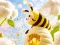 Mchezo Find The Differences: Little Bee's Adventure online
