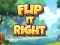 Mchezo Flip It Right online