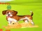 Mchezo Bunny Key Quest online