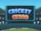 Mchezo Cricket Craze online