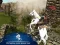 Mchezo Ertugrul Gazi Horse Sim online