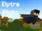 Mchezo Elytra Flight online