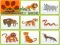Mchezo Wild Animals Kids Memory game online