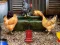 Mchezo Poultry Farm Easter Escape online
