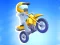 Mchezo Mad Bikers online