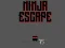 Mchezo Ninja escape online