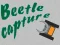 Mchezo Beetle Capture online