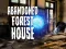 Mchezo Abandoned Forest House online