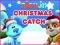 Mchezo Nick Jr. Christmas Catch online