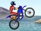 Mchezo FMX team online