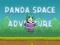 Mchezo Panda Space Adventure online