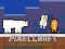 Mchezo PixelCraft Animal School online