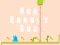Mchezo Run Rabbit Run online