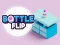 Mchezo Bottle Flip online