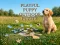 Mchezo Playful Puppy Outdoor Puzzle online