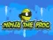 Mchezo Ninja the Frog online