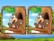 Mchezo Jungle 5 Diffs online