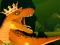 Mchezo The Dino King online