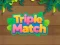 Mchezo Triple Matched online