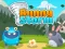 Mchezo Bunny Storm online