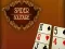 Mchezo Spider Solitaire online