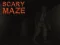 Mchezo Scary Maze online