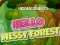 Mchezo Hidden Objects Hello Messy Forest online