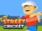 Mchezo Street Cricket online