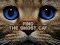 Mchezo Find the Ghost Cat online
