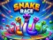 Mchezo Snake Race online