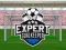 Mchezo Expert Goalkeeper online