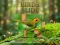 Mchezo Birds Slide online