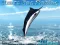 Mchezo Azure Sea Fishing online