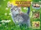 Mchezo Kittens Jigsaw online