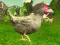 Mchezo Chicken Shooter online
