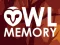 Mchezo Owl Memory online